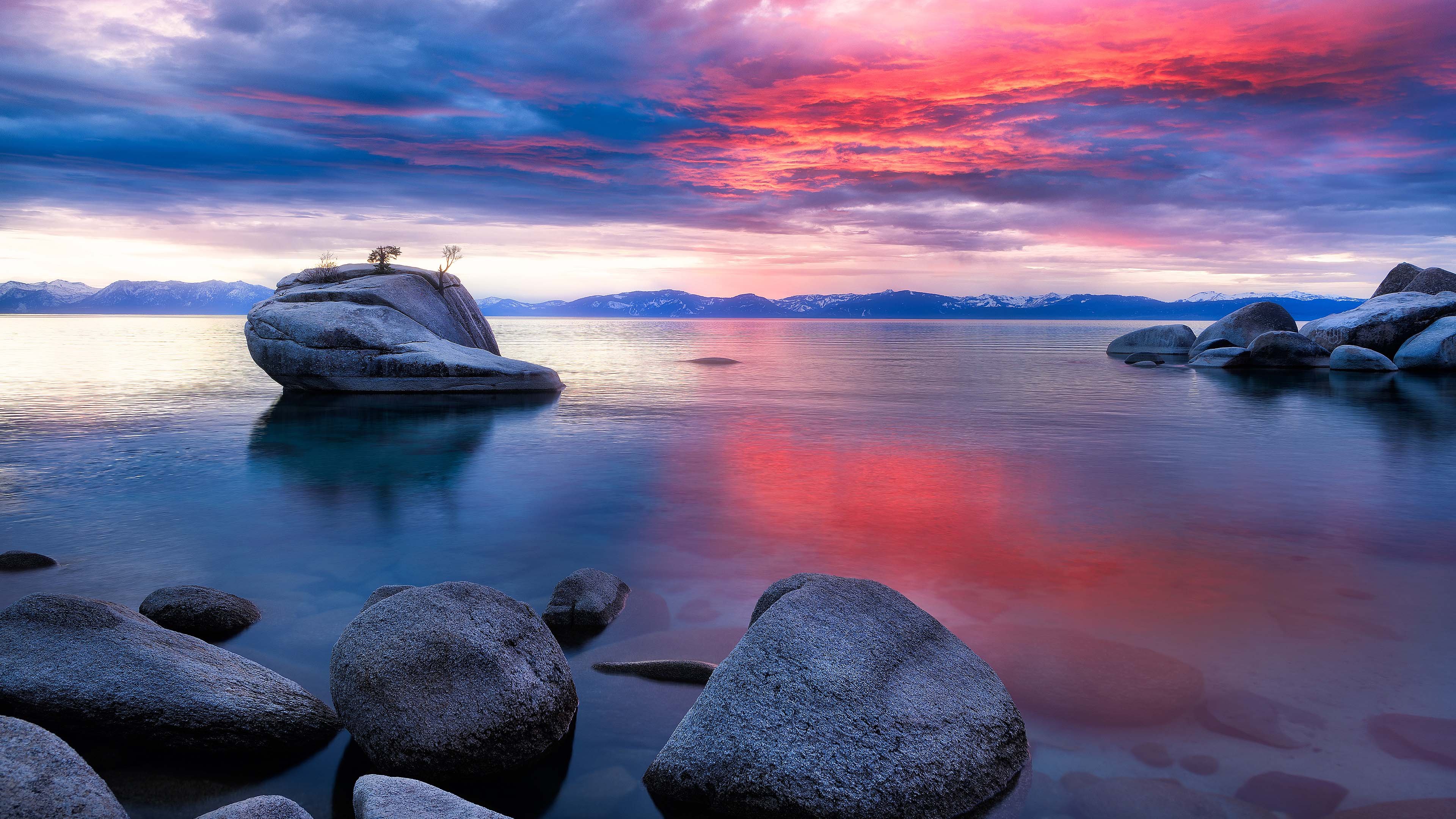 WSL与主机的简单网络通信